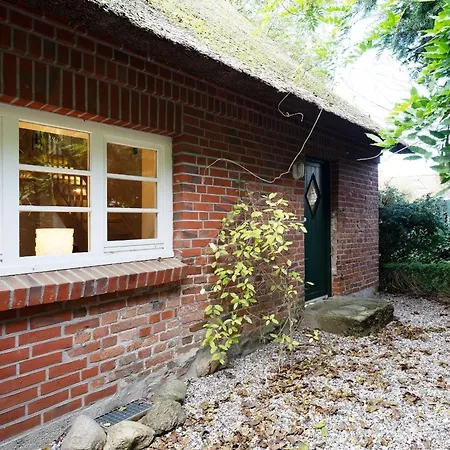 Reetdachkate Holiday home